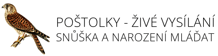 Poštolky - živé vysílání